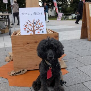 #隅田公園
#継創フェス 
#やさしい革
#やさしい革の木
沢山のご来場をありがとうございました。明日も皆さまのお越しをお待ちしております。
撮影ご協力をありがとうございました！