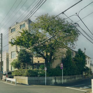 #やさしい革
#ラセッテー
#豚革