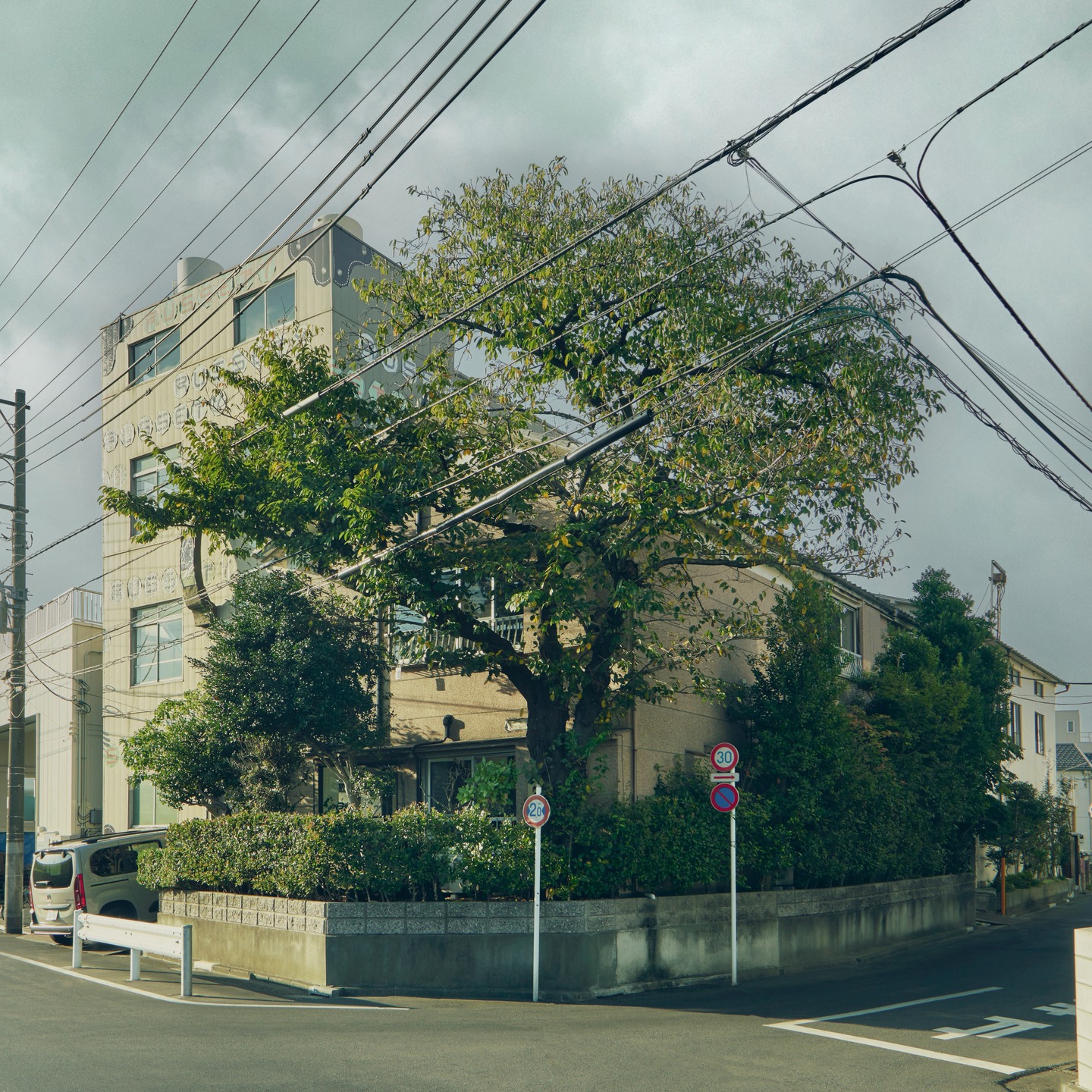 #やさしい革
#ラセッテー
#豚革