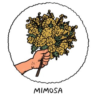 #豚革
#ピッグスキン
#東京レザー
#ラセッテー
#やさしい革