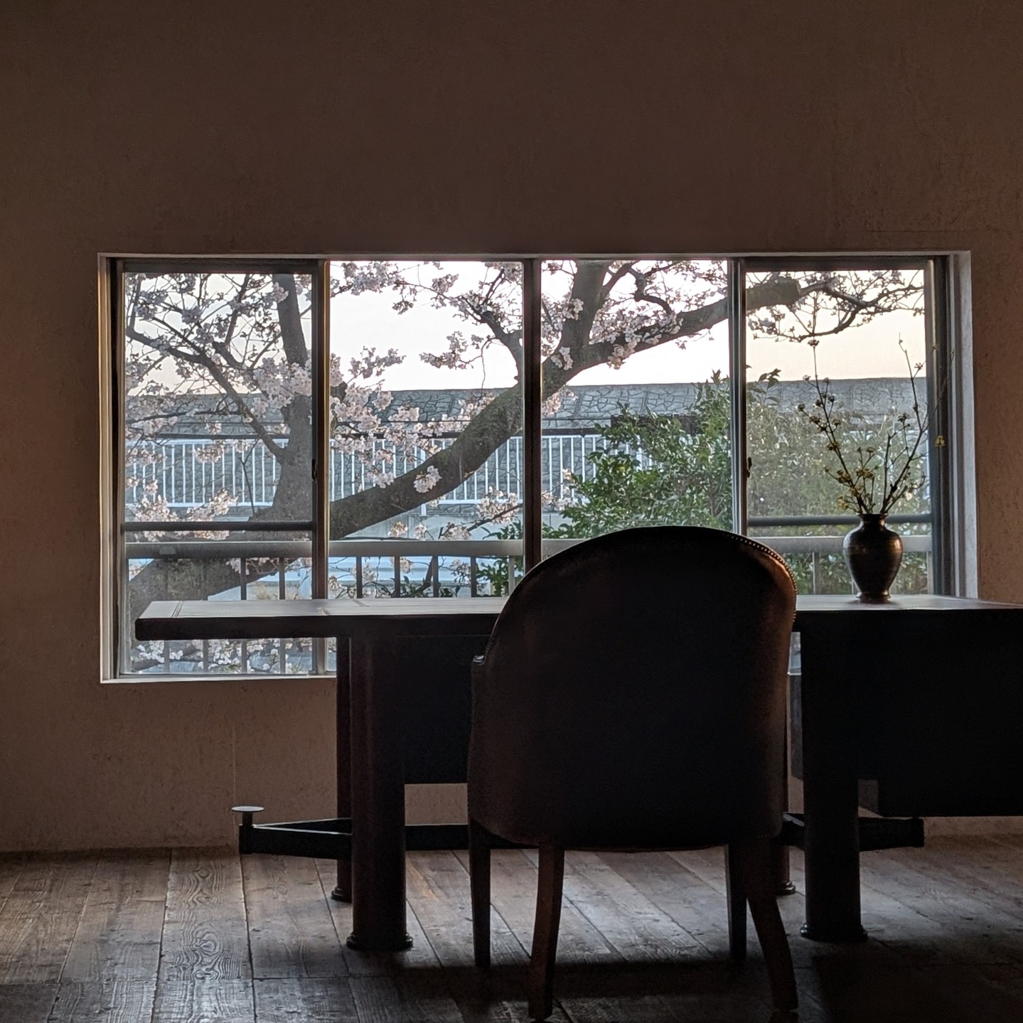 #豚革
#ピッグスキン
#東京レザー
#ラセッテー
#やさしい革
#桜